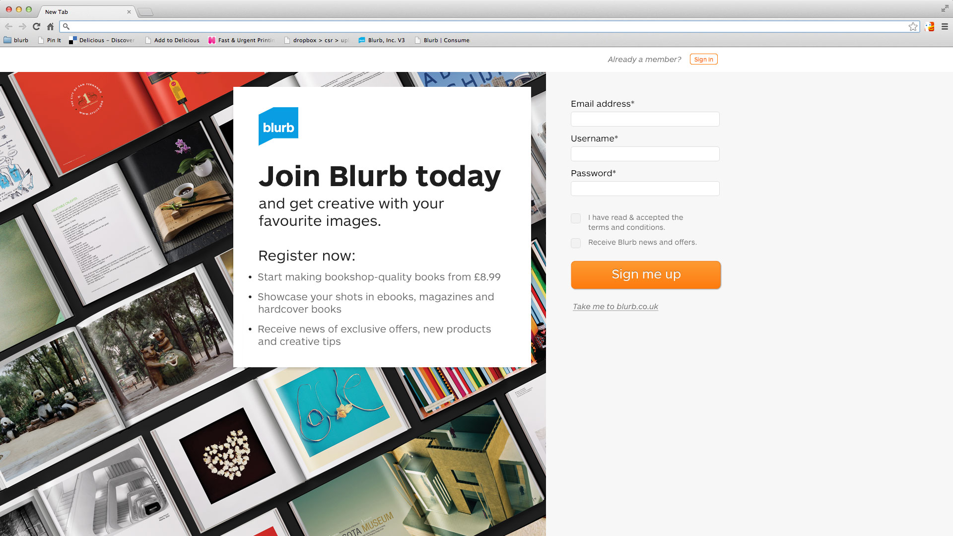 Blurb Landing Page